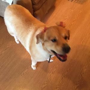 Meet your Posher, Jackie